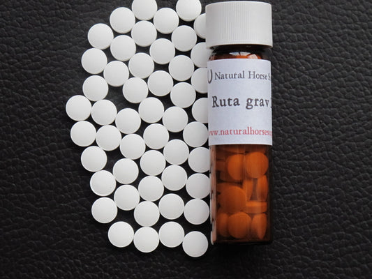 Ruta grav 200c