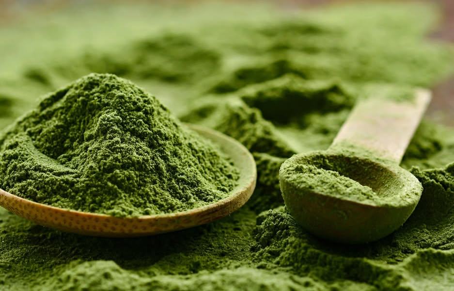 Spirulina Powder (organic) 900g